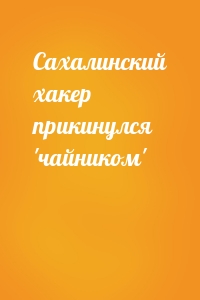 Сахалинский хакер прикинулся 'чайником'