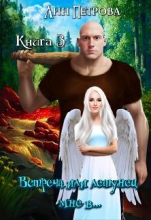Обложка книги «Встреча или летунец мне в... (СИ)» — Лин Петрова