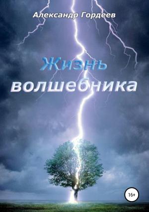 Обложка книги «Жизнь волшебника» — Александр Гордеев