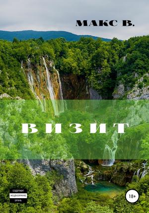 Обложка книги «Визит» — Макс В.
