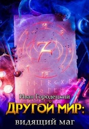 Обложка книги «Видящий маг» — Городецкий Иван
