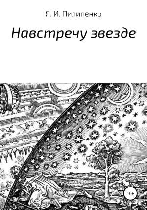 Обложка книги «Навстречу звезде» — Ярослав Пилипенко