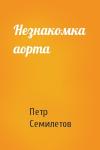 Петр Семилетов - Незнакомка аорта