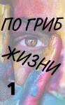 Александр Виленский - По гриб жизни