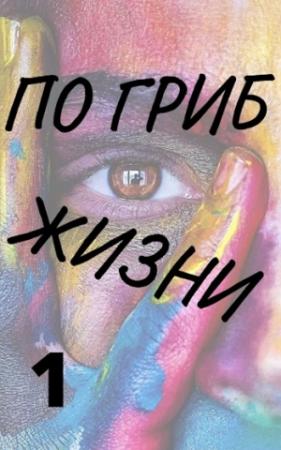 Обложка книги «По гриб жизни» — Александр Виленский
