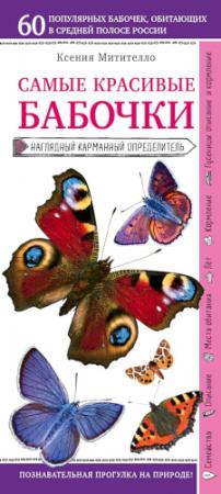 Обложка книги «Бабочки. Наглядный карманный определитель» — Ксения Митителло