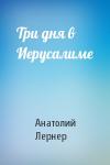 Анатолий Лернер - Три дня в Иерусалиме