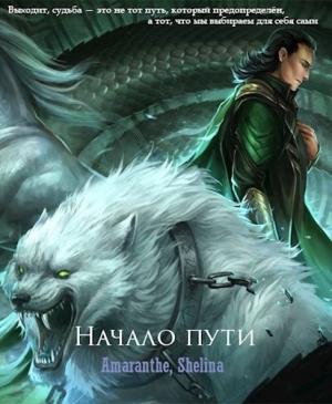 Обложка книги «Начало пути» — shellina
