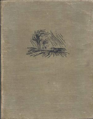 Обложка книги «Фата Моргана» — Михаил Михайлович Коцюбинский