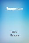 Томас Пинчон - Энтропия