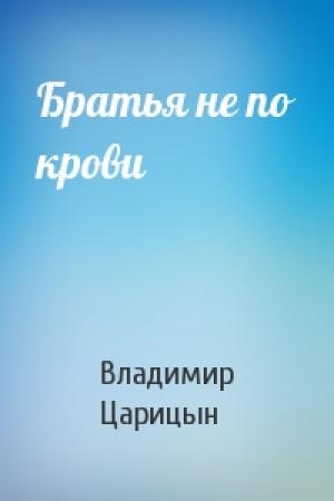 Обложка книги «Братья не по крови» — Владимир Царицын