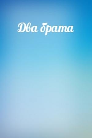 Обложка книги «Два брата»