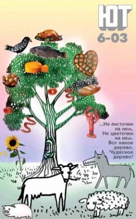 Обложка книги «Юный техник, 2003 № 06» — Журнал «Юный техник»
