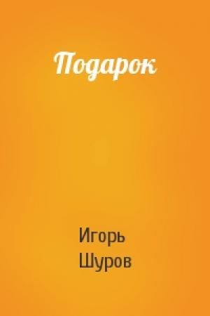 Обложка книги «Подарок» — Игорь Шуров