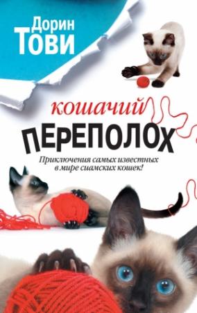 Обложка книги «Кошачий переполох (сборник)» — Дорин Тови