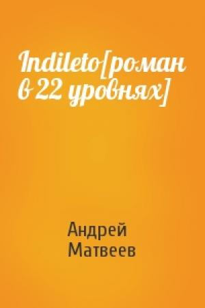 Обложка книги «Indileto[роман в 22 уровнях]» — Андрей Матвеев