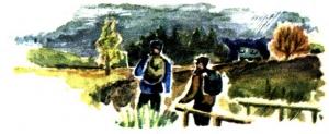 Обложка книги «Березы в ноябре» — Николай Плотников