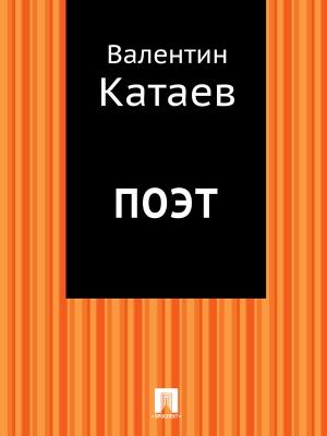 Обложка книги «Поэт» — Валентин Катаев
