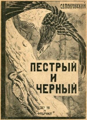 Обложка книги «Пестрый и Черный» — Сергей Покровский