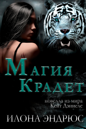 Обложка книги «Магия крадет» — Илона Эндрюс