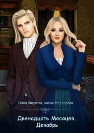 Обложка книги «Двенадцать Месяцев. Декабрь» — Юлия Шкутова, Алена Викторовна Медведева