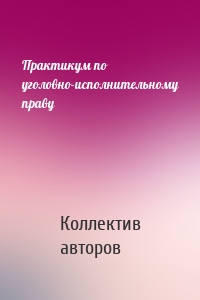 Практикум по уголовно-исполнительному праву