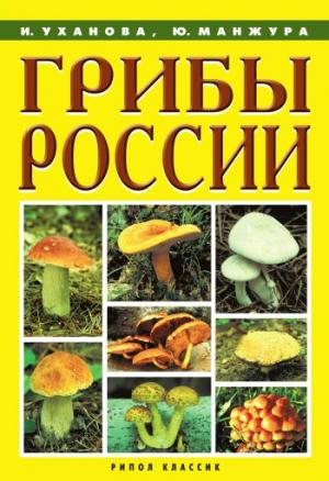 Обложка книги «Грибы России» — Ирина Уханова, Юрий Манжура