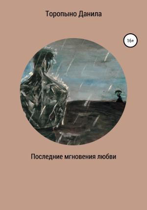Обложка книги «Последние мгновения любви» — Данила Торопыно