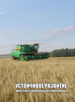 Обложка книги «Устойчивое развитие Ирбитского муниципального образования, часть 2» — Александр Камянчук, Алексей Ерёмин