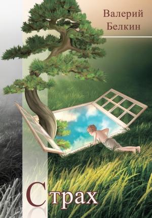 Обложка книги «Страх» — Валерий Белкин