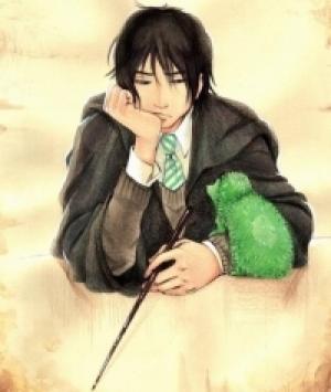 Обложка книги «Меня зовут Северус» — Silverfox