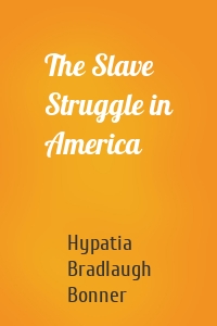 The Slave Struggle in America