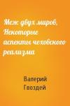 Валерий Гвоздей - Меж двух миров, Некоторые аспекты чеховского реализма