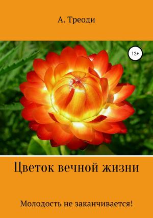 Обложка книги «Цветок вечной жизни» — А. Треоди