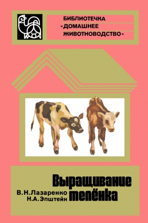 Обложка книги «Выращивание телёнка» — Виктор Лазаренко, Николай Эпштейн