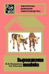 Виктор Лазаренко, Николай Эпштейн - Выращивание телёнка