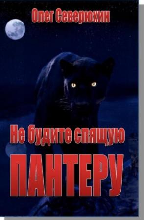Обложка книги «Не будите спящую пантеру» — Олег Северюхин