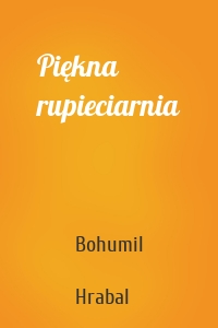 Piękna rupieciarnia