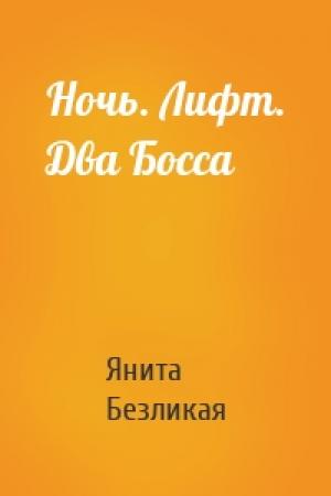 Обложка книги «Ночь. Лифт. Два Босса» — Янита Безликая