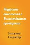 Эммануил Сведенборг - Мудрость ангельская о Божественном провидении