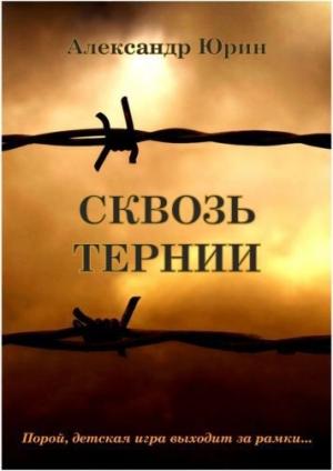 Обложка книги «Сквозь тернии» — Александр Юрин