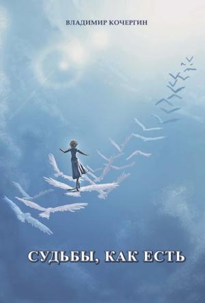Обложка книги «Судьбы, как есть» — Владимир Кочергин