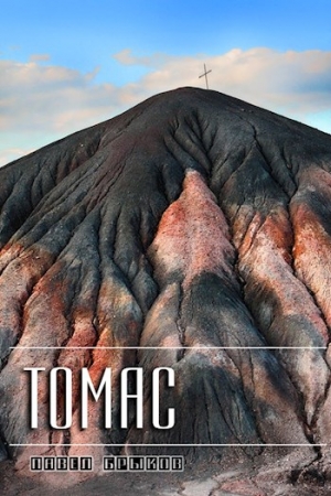 Обложка книги «Томас (издательская)» — Павел Брыков