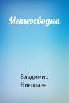 Владимир Николаев - Метеосводка