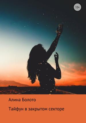 Обложка книги «Тайфун в закрытом секторе» — Алина Болото
