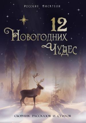 Обложка книги «12 новогодних чудес» — Клэр Уайт, Юлия Рахаева, Наталья Орехова, Анна Дуплина, Варвара Никс, Алена Тимофеева, Юлия Камилова, Ира на Уране, Анна Клирик, Юлия Atreyu, Софья Самокиш
