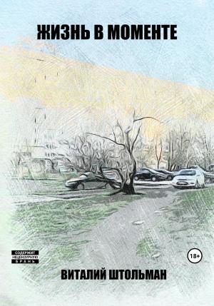 Обложка книги «Жизнь в моменте» — Виталий Штольман