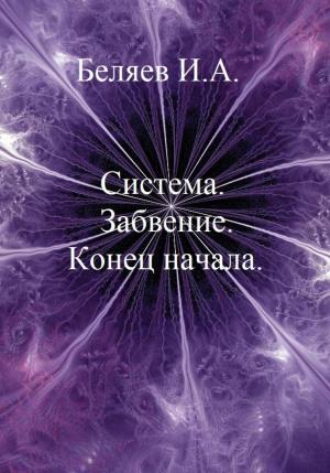 Обложка книги «Система. Завоевание. Конец начала. Книга первая. Цикл «Икосаэдр. Бронзовый аддон»» — Илья Беляев