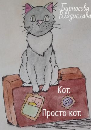 Обложка книги «Кот. Просто кот» — Владислава Бурносова