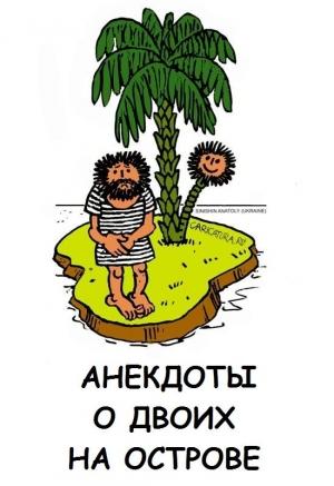 Обложка книги «Анекдоты о двоих на острове»